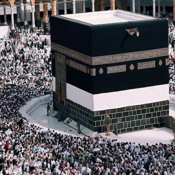 Meet your Posher, Anwar - Picture 1 of 1